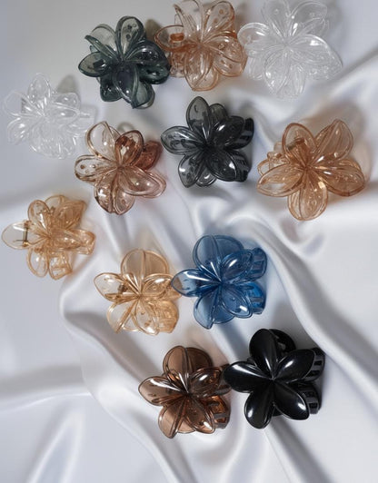 Pack of 12  Medium size Smoky Noir Claw for girls